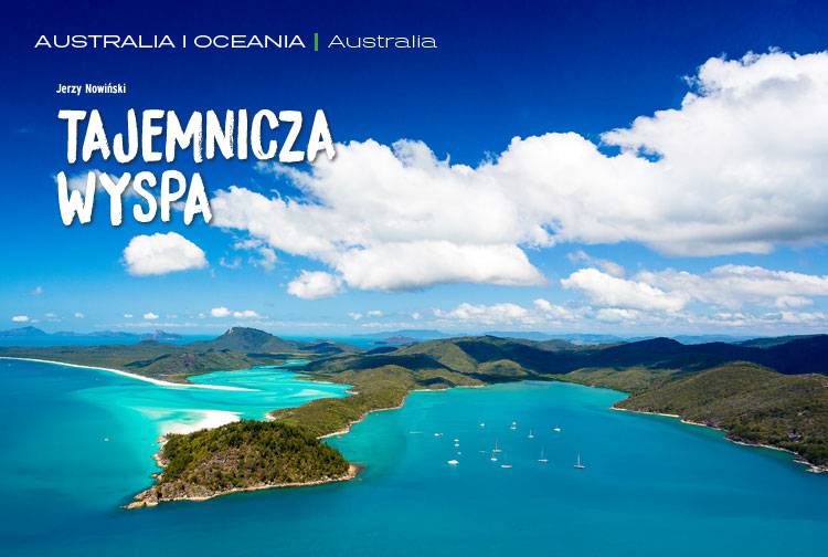 Losowy darmowy artykuł